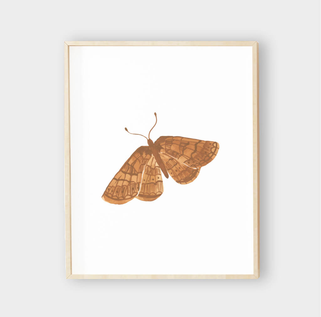 butterfly wall art moth