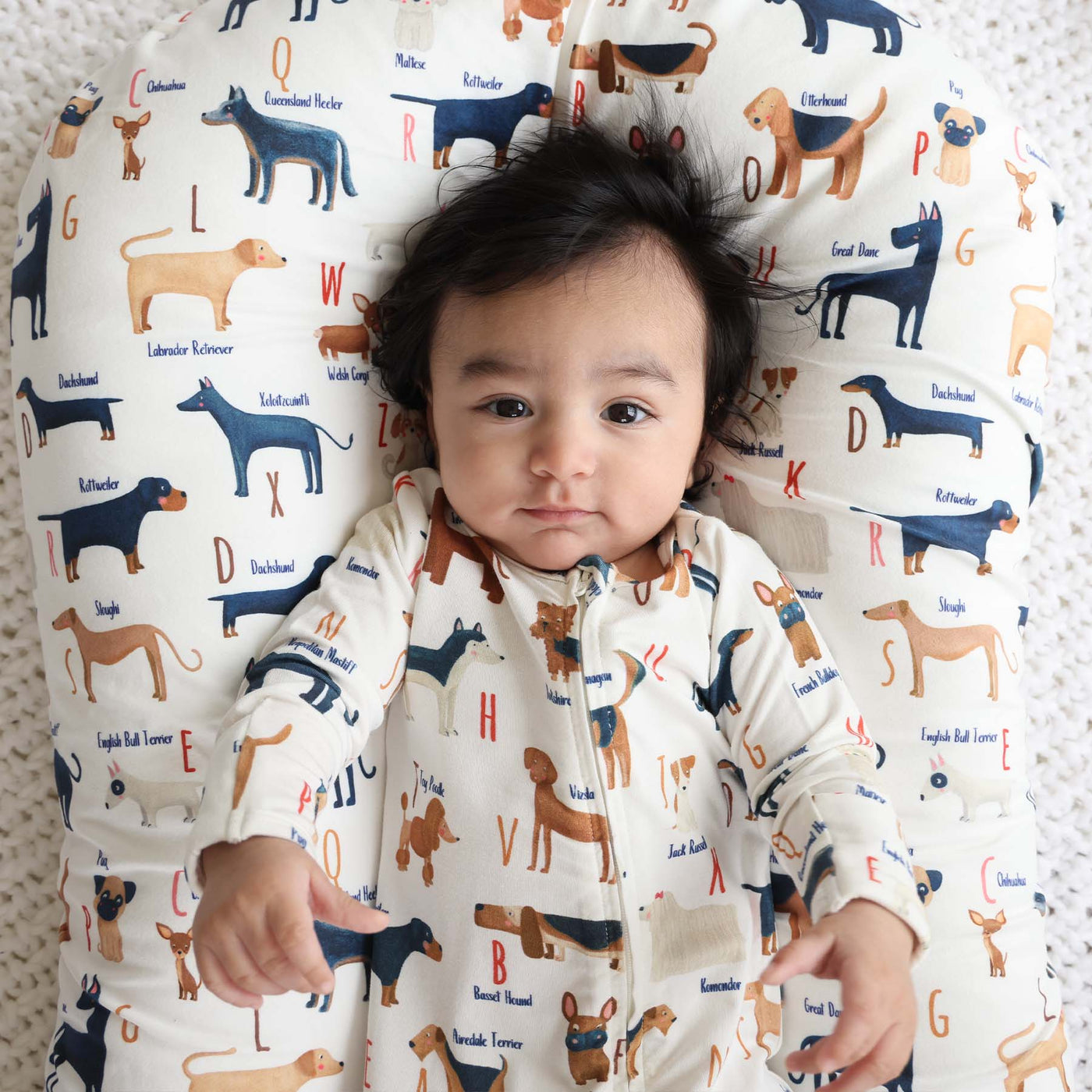 baby zipper footie with dogs and alphabet