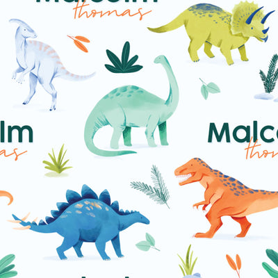 Personalized Kids Blanket | Prehistoric World