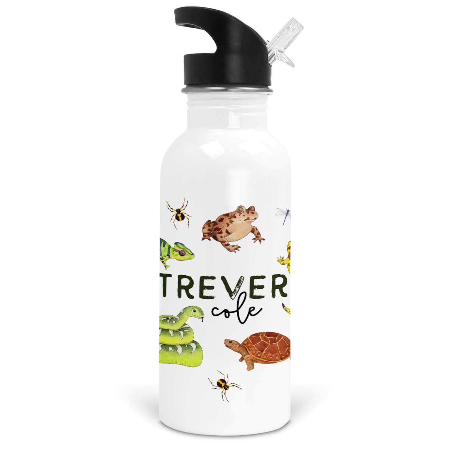 Reptile water hot sale bottle