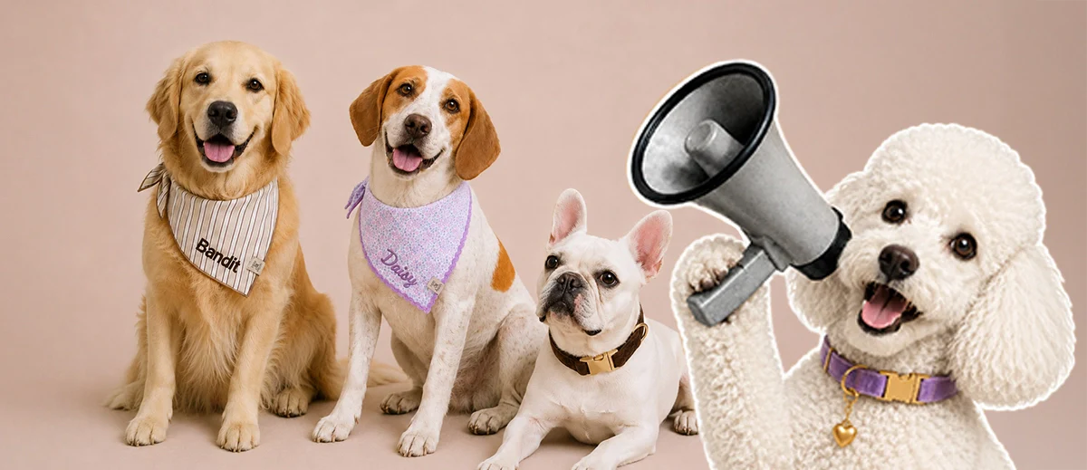 Lane & Leash Has Officially Dropped: Meet Caden Lane's New Pet Brand