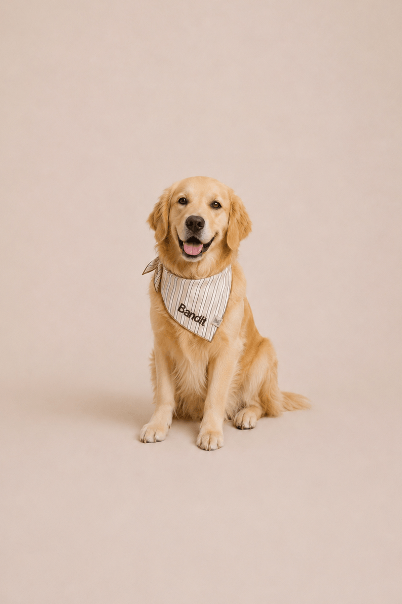 All Pet Bandanas