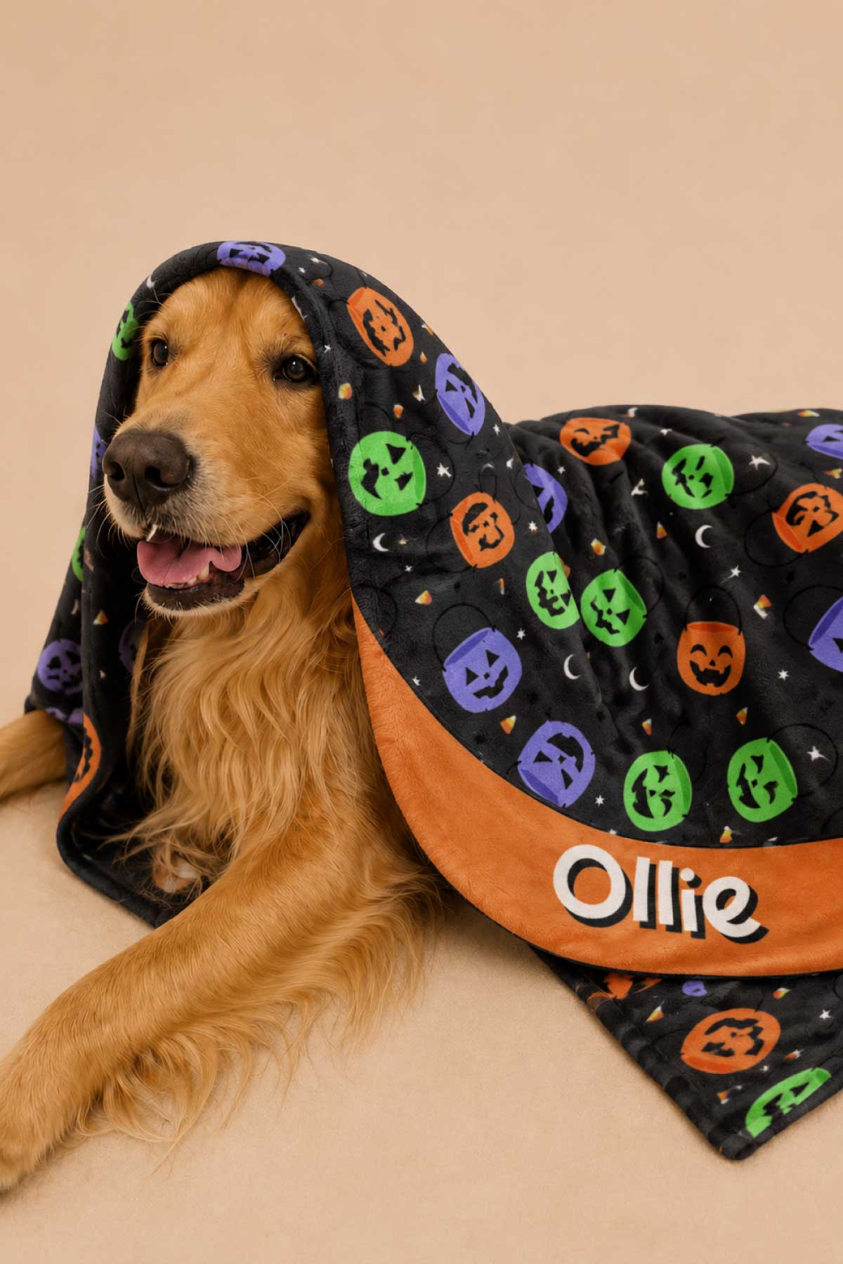 Halloween Pet Collection