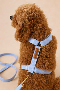 Strap Harnesses
