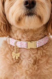 Pet ID Tags