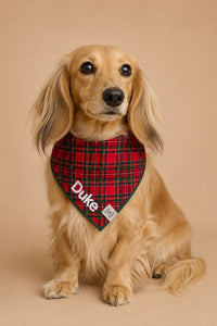 Pet Bandanas