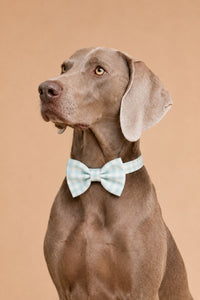 Pet Bow Ties