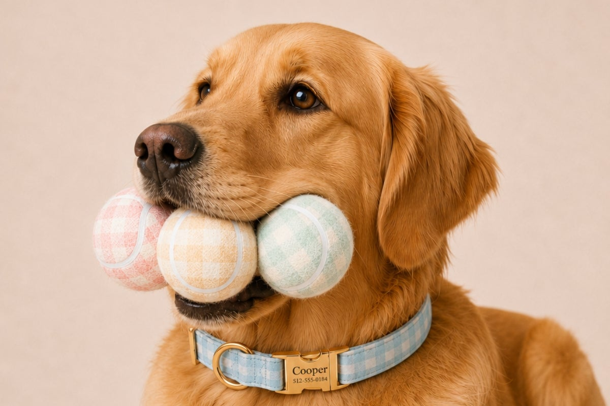 Dog Toys