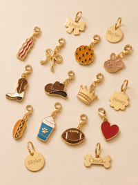 Pet Charms & ID Tags