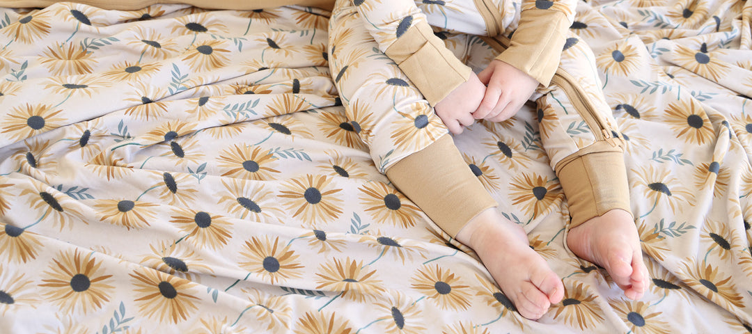 Sunday's Daisy Collection