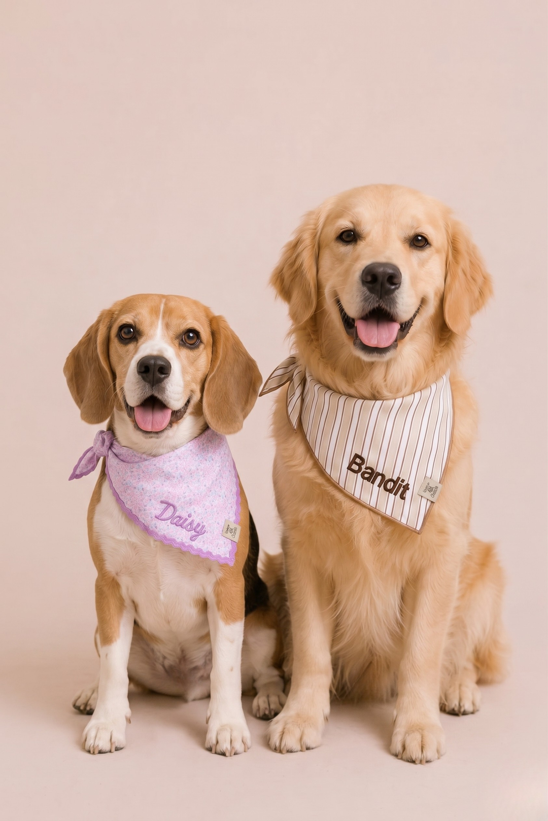 A beagle and a golden retriever sitting side by side, each wearing a personalized embroidered bandana; the beagle wears a pink bandana reading Daisy and the golden retriever wears a Biscuit Stripe bandana reading Bandit
