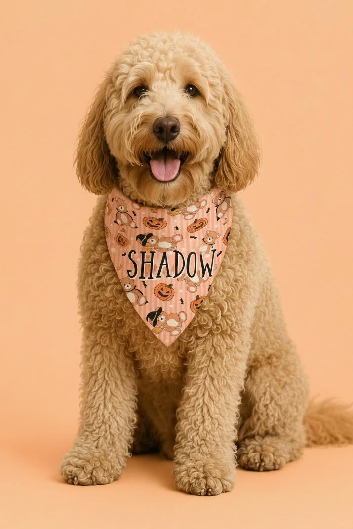 Personalized Halloween Pet Bandana | Beary Scary