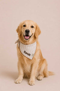 Bandanas