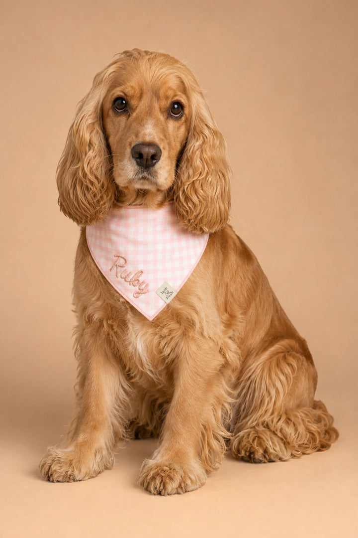 A golden Cocker Spaniel dog wearing a Lane & Leash pink and white gingham bandana with the name 'Ruby' embroidered on it, posed against a solid beige studio background.