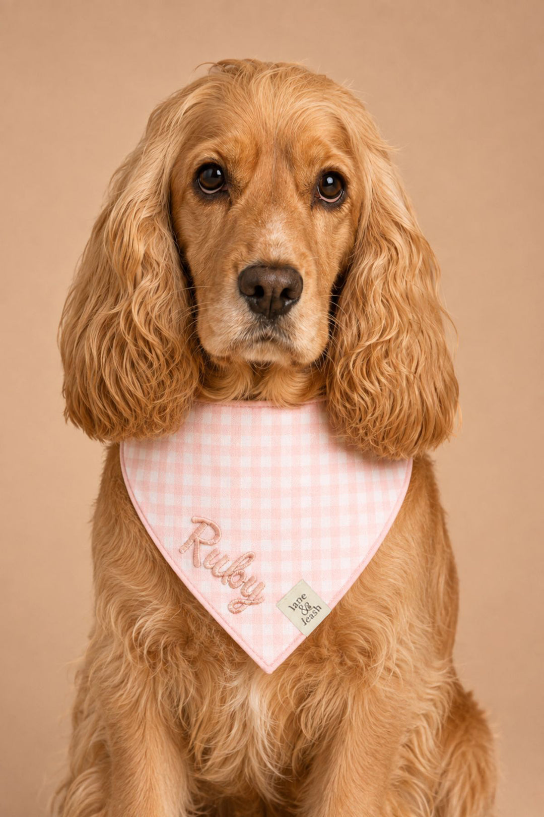 A golden Cocker Spaniel dog wearing a Lane & Leash pink and white gingham check heart-shaped bandana with the name 'Ruby' embroidered on it, set against a solid beige background.