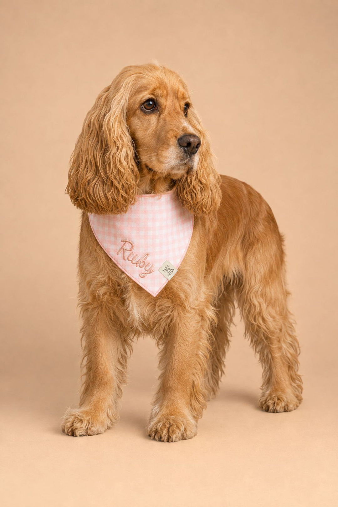 A golden retriever dog wearing a Lane & Leash pink and white gingham checkered bandana with the name 'Ruby' embroidered on it, standing against a solid beige studio background.