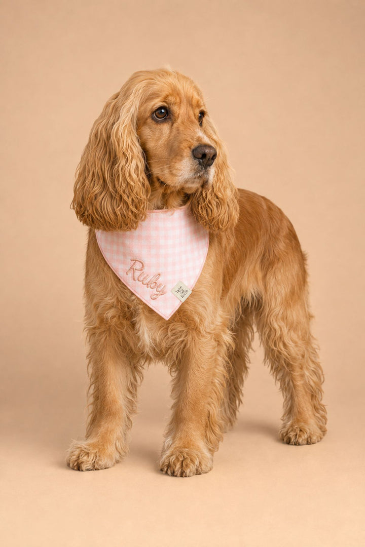 A golden retriever dog wearing a Lane & Leash pink and white gingham checkered bandana with the name 'Ruby' embroidered on it, standing against a solid beige studio background.