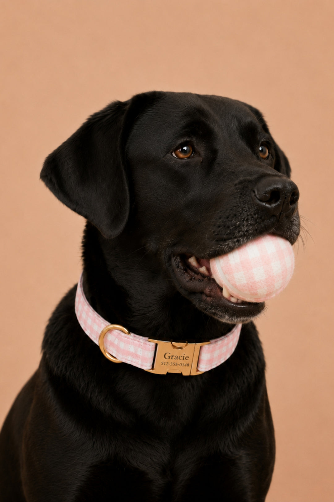 A black Labrador retriever wearing a Lane & Leash pink and white gingham dog collar with a gold-tone buckle and a custom brass nameplate that reads 'Gracie's Sweetheart'. The dog is holding a pink and white gingham ball in its mouth, set against a solid warm peach background.