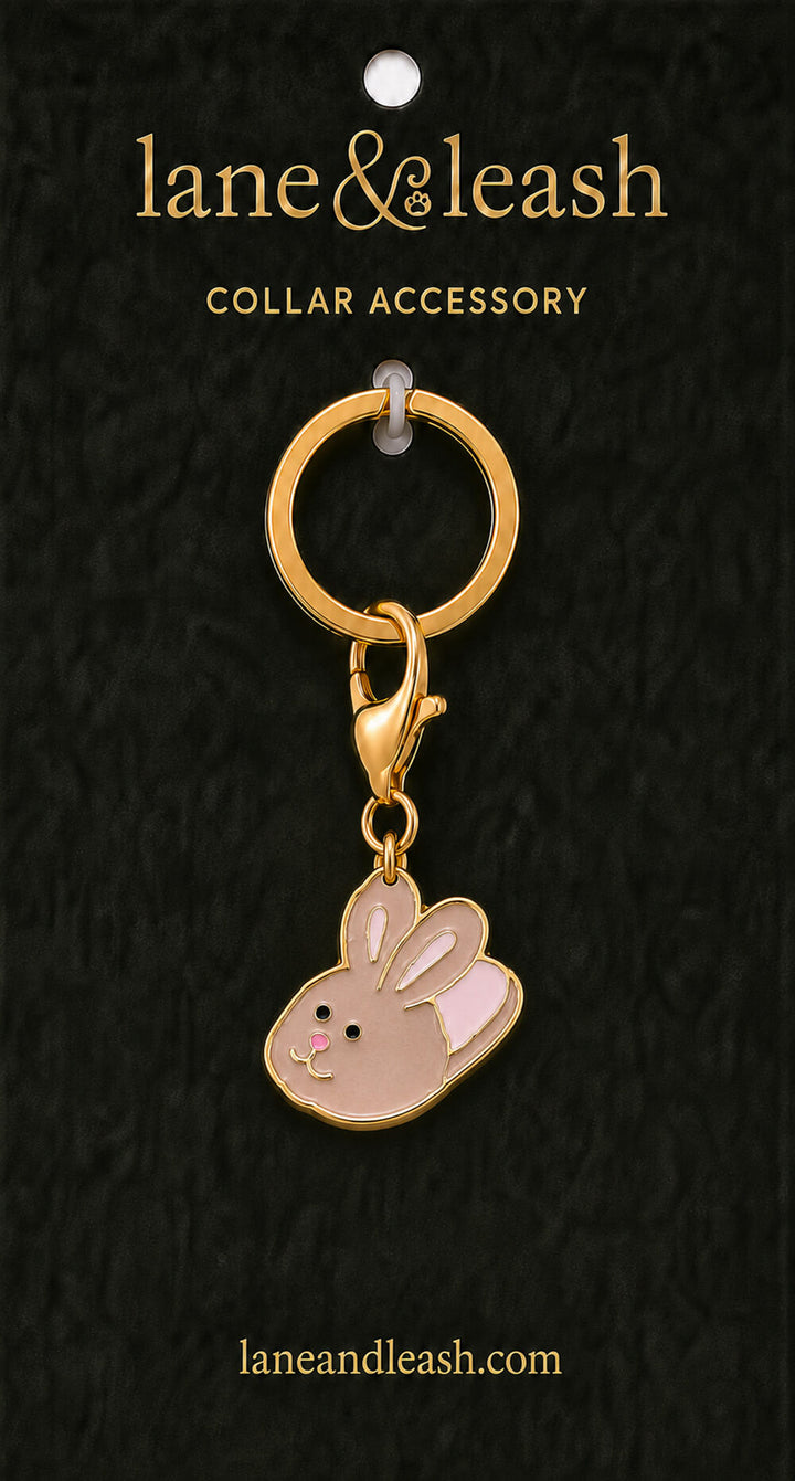 Pink bunny slipper Lane & Leash collar accessory charm displayed on dark green packaging card with lobster claw clasp and jump ring