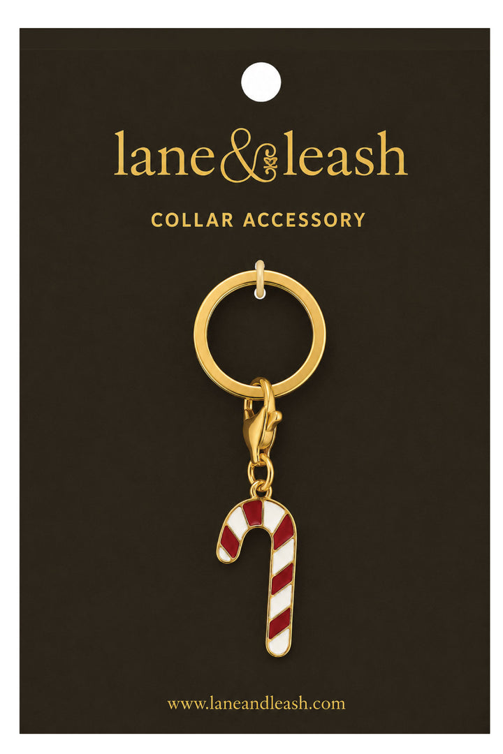 Lane & Leash candy cane charm collar accessory on branded packaging card, gold ring with lobster clasp and red-and-white enamel candy cane charm