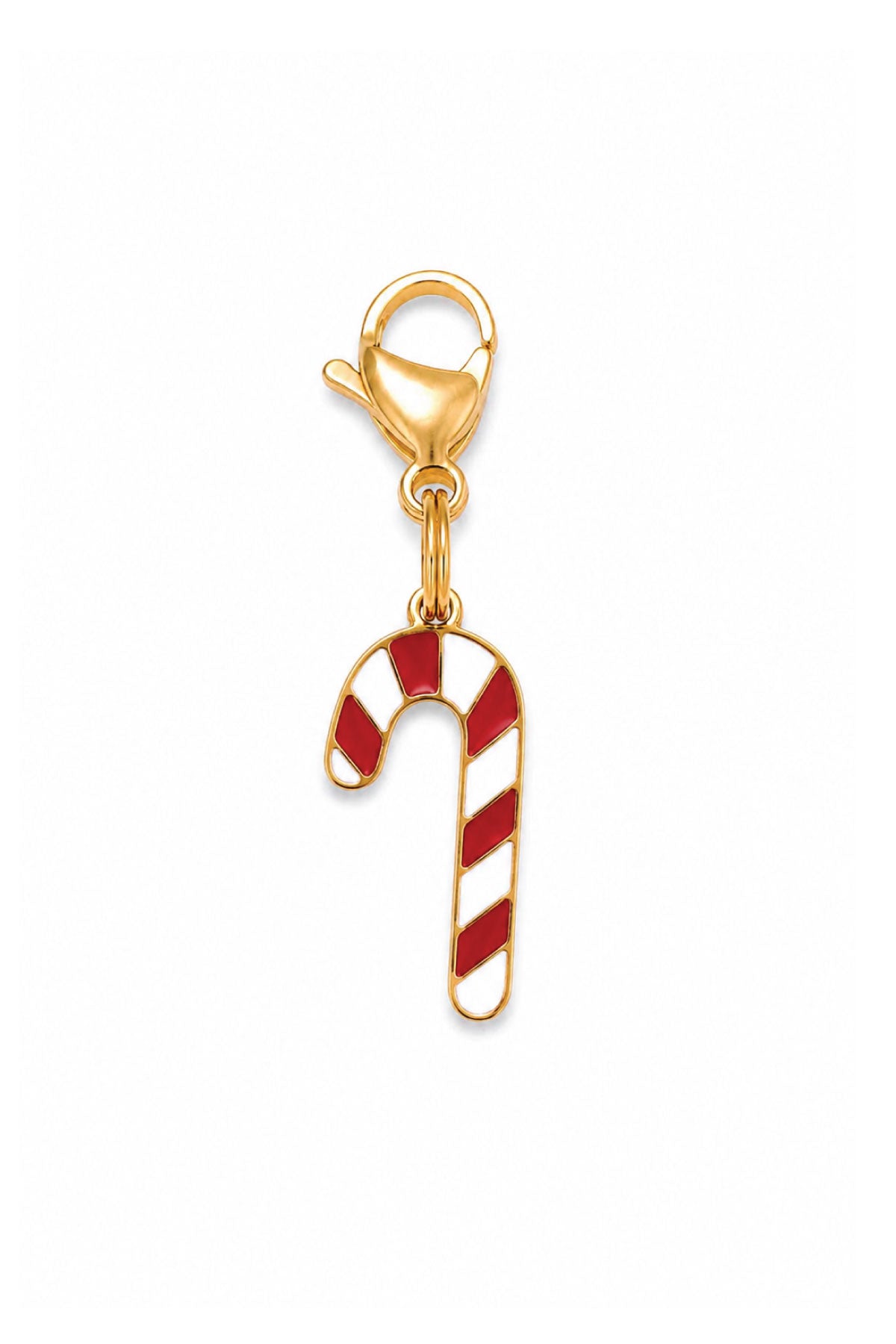 Pet Charm | Candy Cane