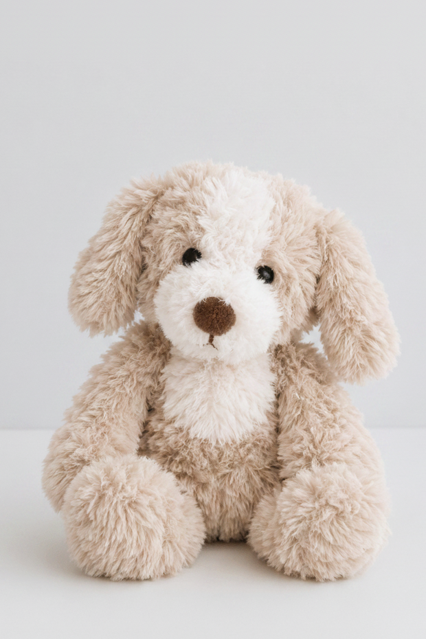 parker puppy standalone