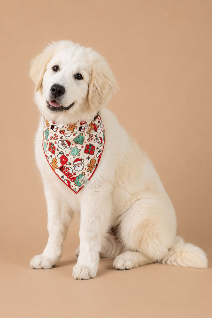 Yellow lab wearing bandana from Lane & Leash tied in a knot, featuring a whimsical Christmas Treats pattern with gingerbread men, Santa faces, snowmen, Christmas trees, candy canes, and wrapped presents in red and green. The name 'Trixie' is embroidered in red script near the bottom point, with a small woven Lane & Leash label tag