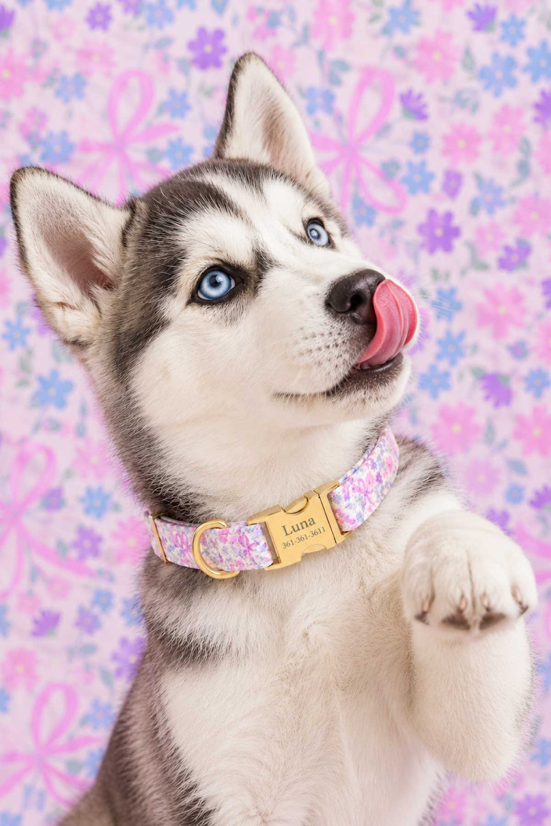 A husky puppy wearing the Ribbon Garden dog collar with personalized gold engraved ID buckle, photographed against a matching Ribbon Garden floral print background