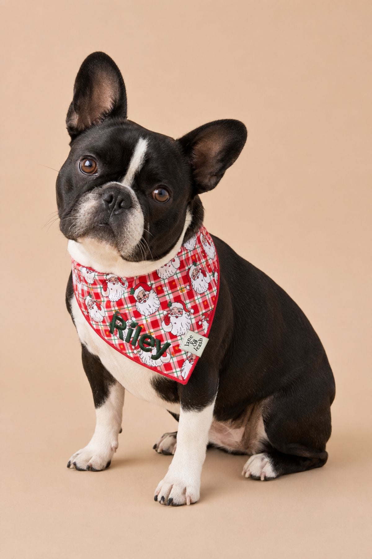 Embroidered Christmas Pet Bandana | Cozy Claus