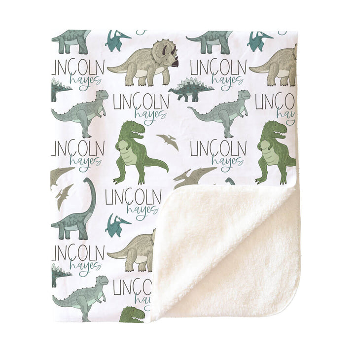 Dinosaur Friends Personalized Toddler Blanket