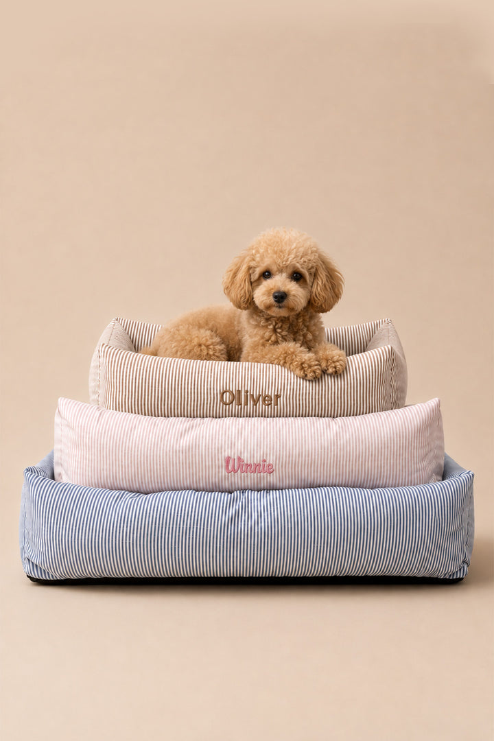 Group image of all the small, medium, and large striped Lane & Leash dog beds 