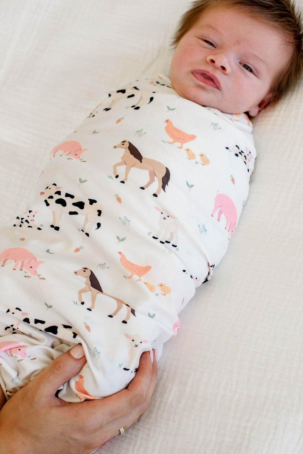 Close-up of newborn swaddled in Caden Lane farm animal print blanket, parent's hand adjusting the wrap