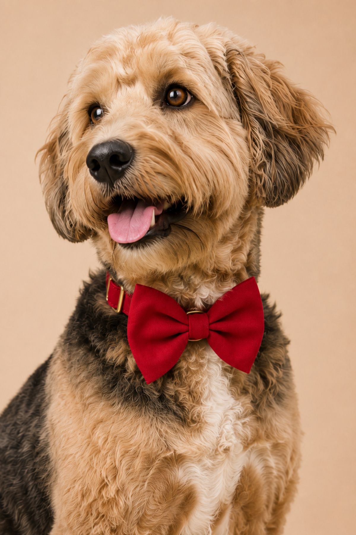 Pet Bow Tie in Fire Hydrant | Lane & Leash – Caden Lane