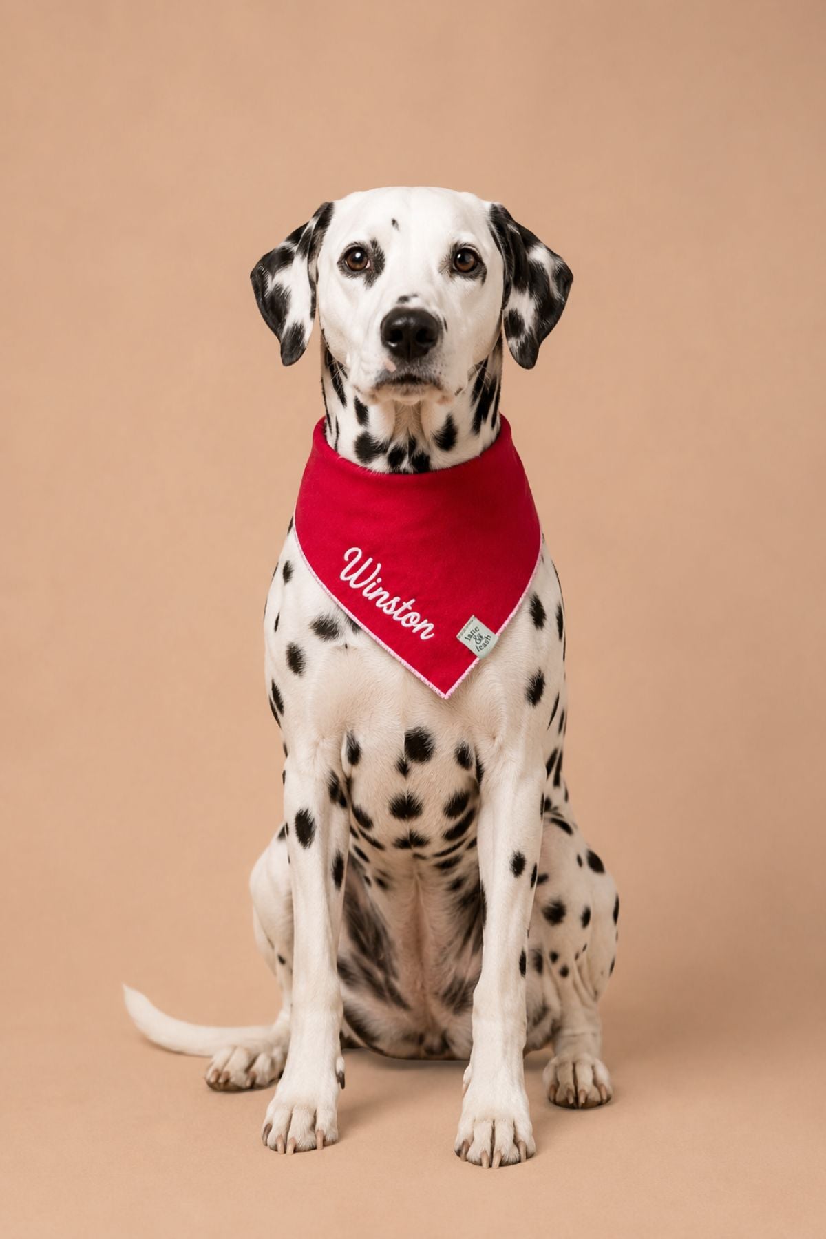 Embroidered Pet Bandana | Fire Hydrant