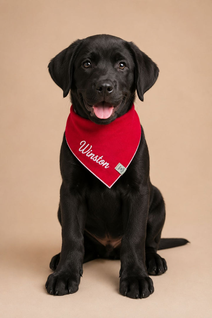 Black Labrador puppy sitting and smiling with tongue out, wearing a Lane & Leash personalized dog bandana in solid red, embroidered with the name 'Winston' in white script, against a tan backdrop