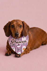 Pet Bandanas