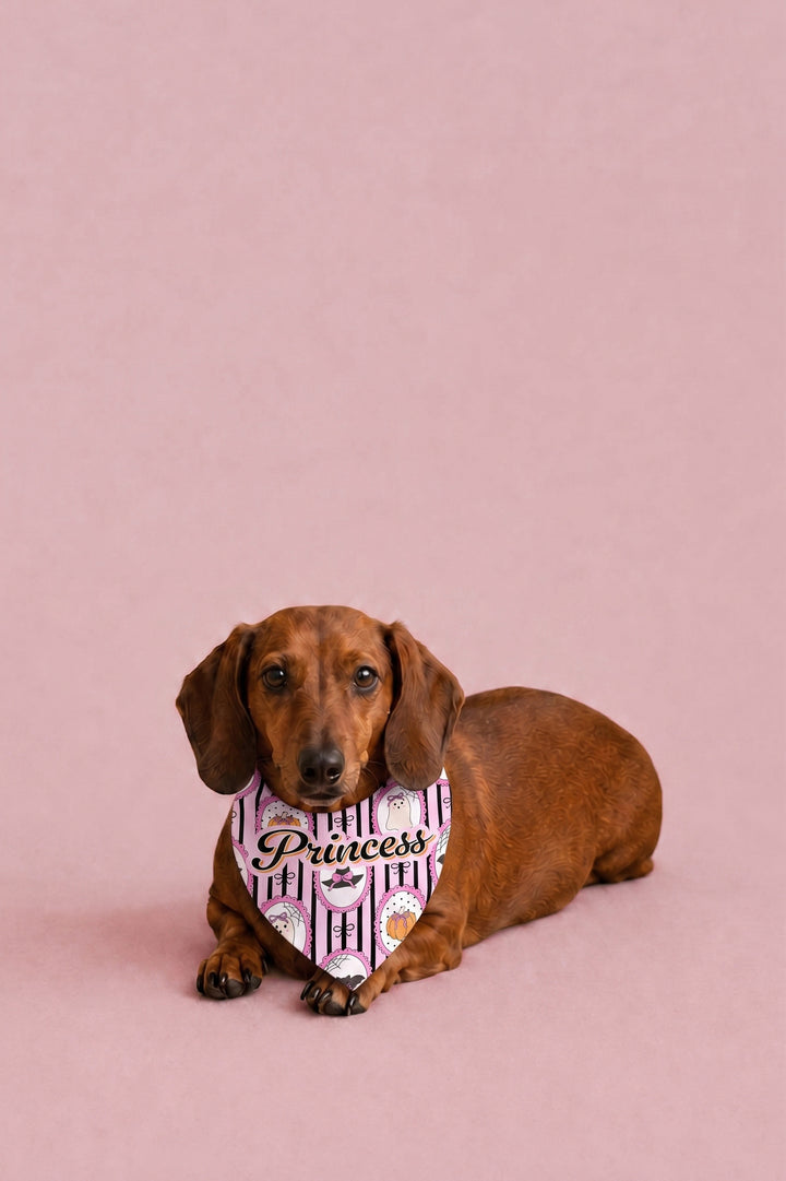 A brown dachshund lying down against a solid dusty pink background, wearing a patterned pink bandana with the word 'Princess' written in black script.