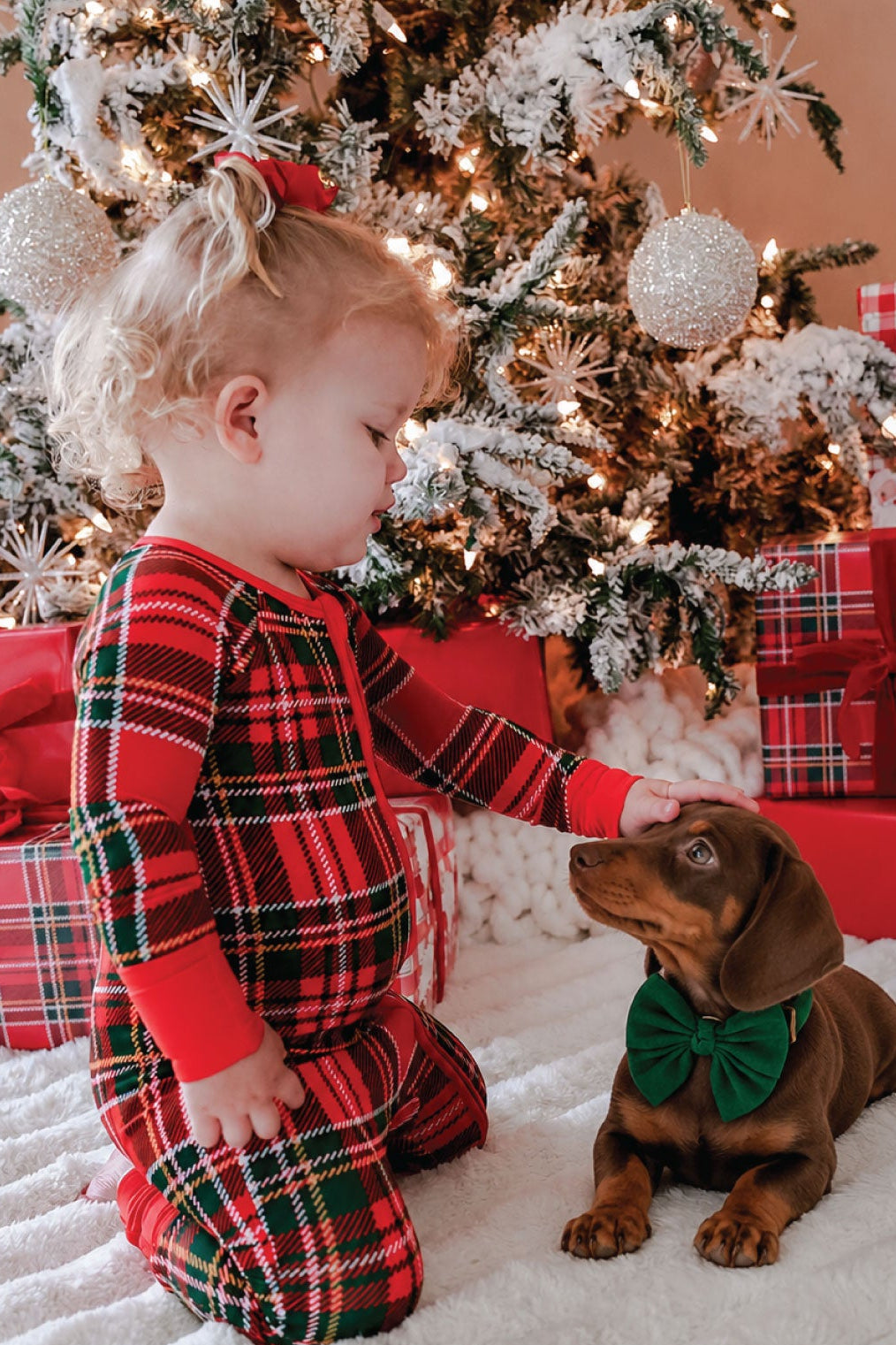 Pet Bow Tie | Pine