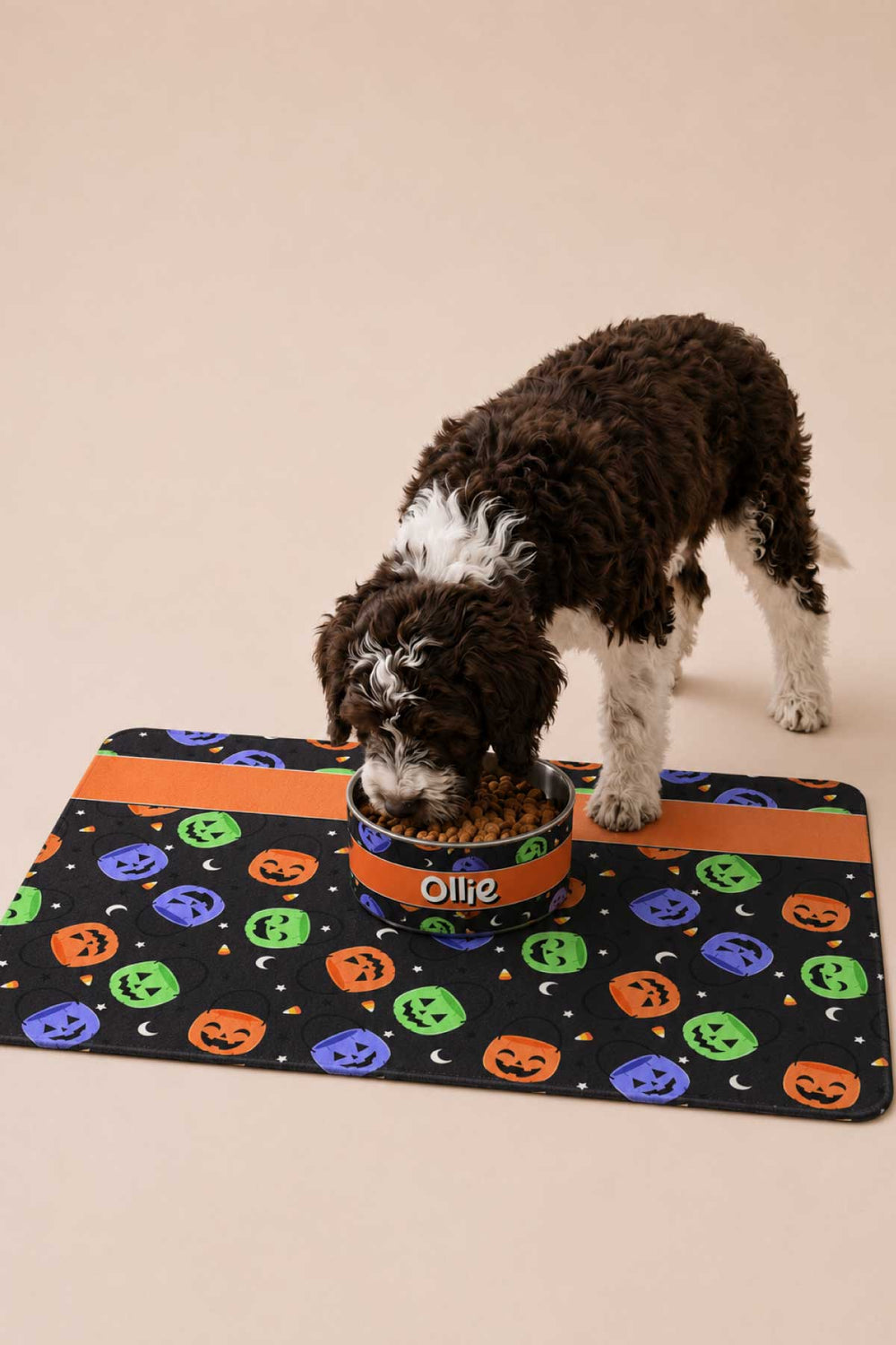 Dog eating from a personalized Halloween pet bowl with jack-o-lantern print, placed on a matching Candy Crawl print pet placemat