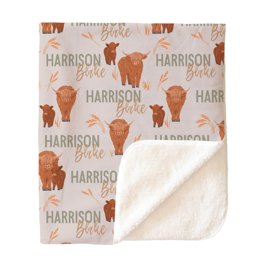 Personalized Themed Blankets for Girls