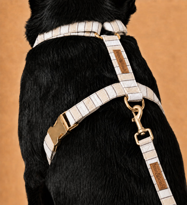 Back view of Biscuit Stripe dog harness worn on a black dog, showing the strap configuration with gold-tone buckle and leash attachment D-ring