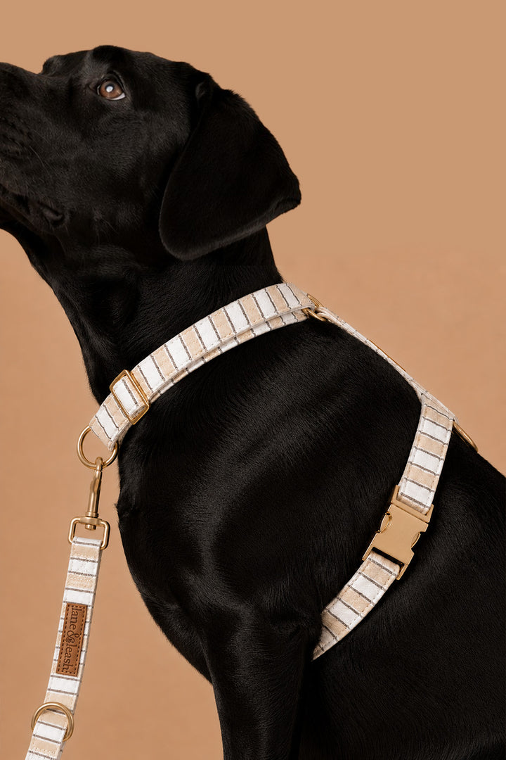 biscuit stripe side harness