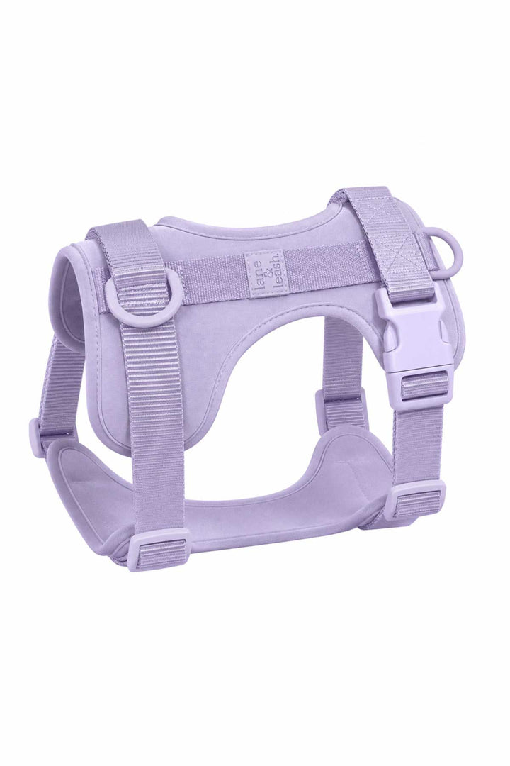 Padded dog harness in lilac haze purple, showing structured design with adjustable buckle straps, D-rings, and padded chest panel on white background