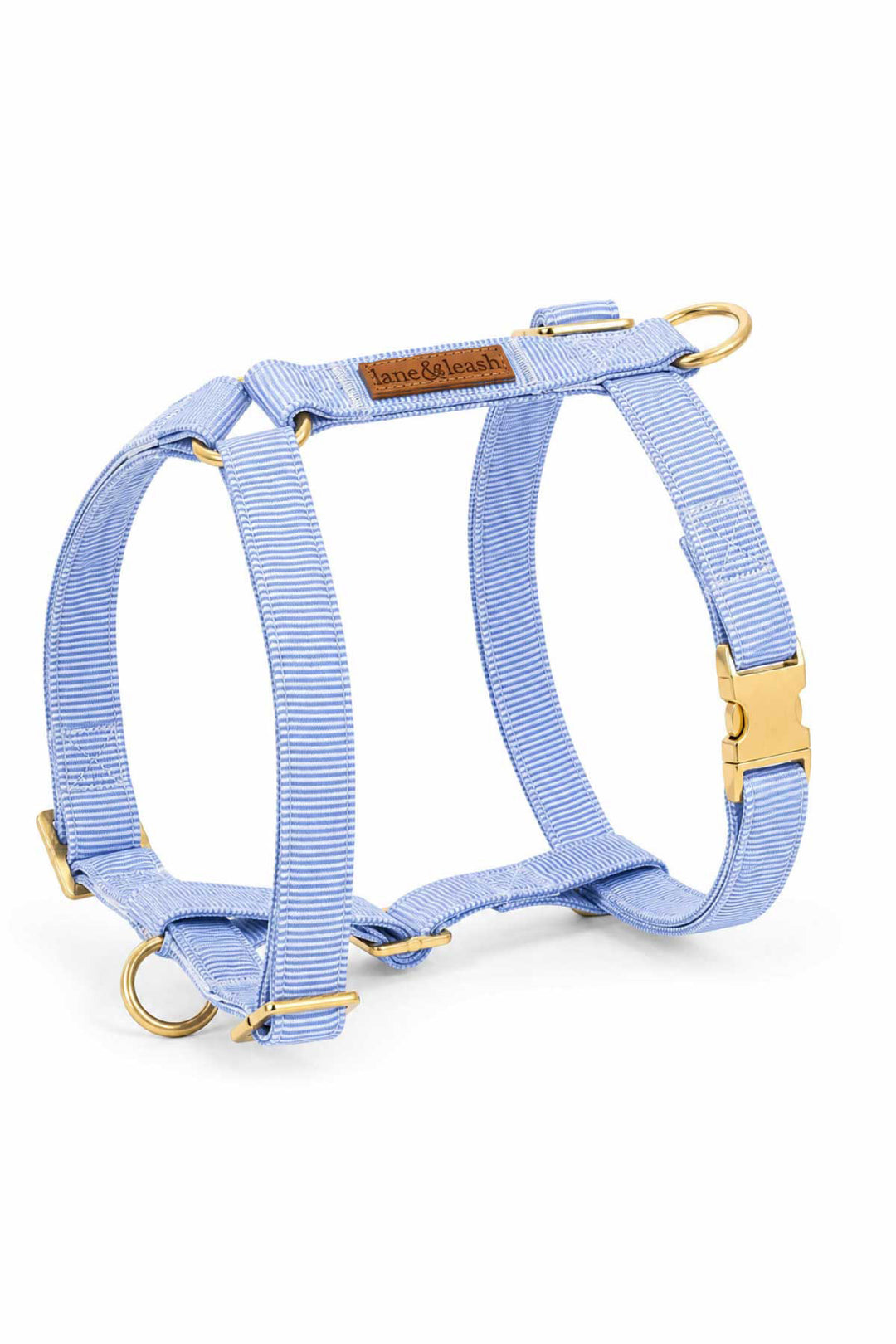 Morning Mist light blue H-style strap dog harness with gold metal hardware and brown leather Caden Lane tag, product shot on white background