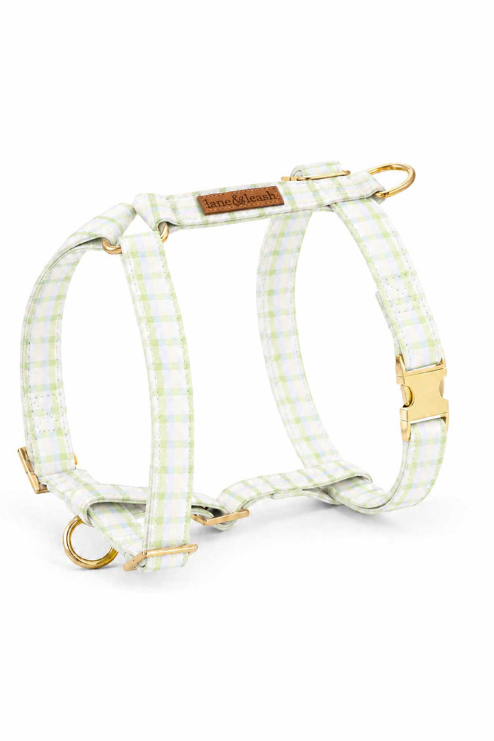 Strap dog harness in green and blue picnic plaid with gold buckles and D-rings, shown assembled in an H-shape against a white background