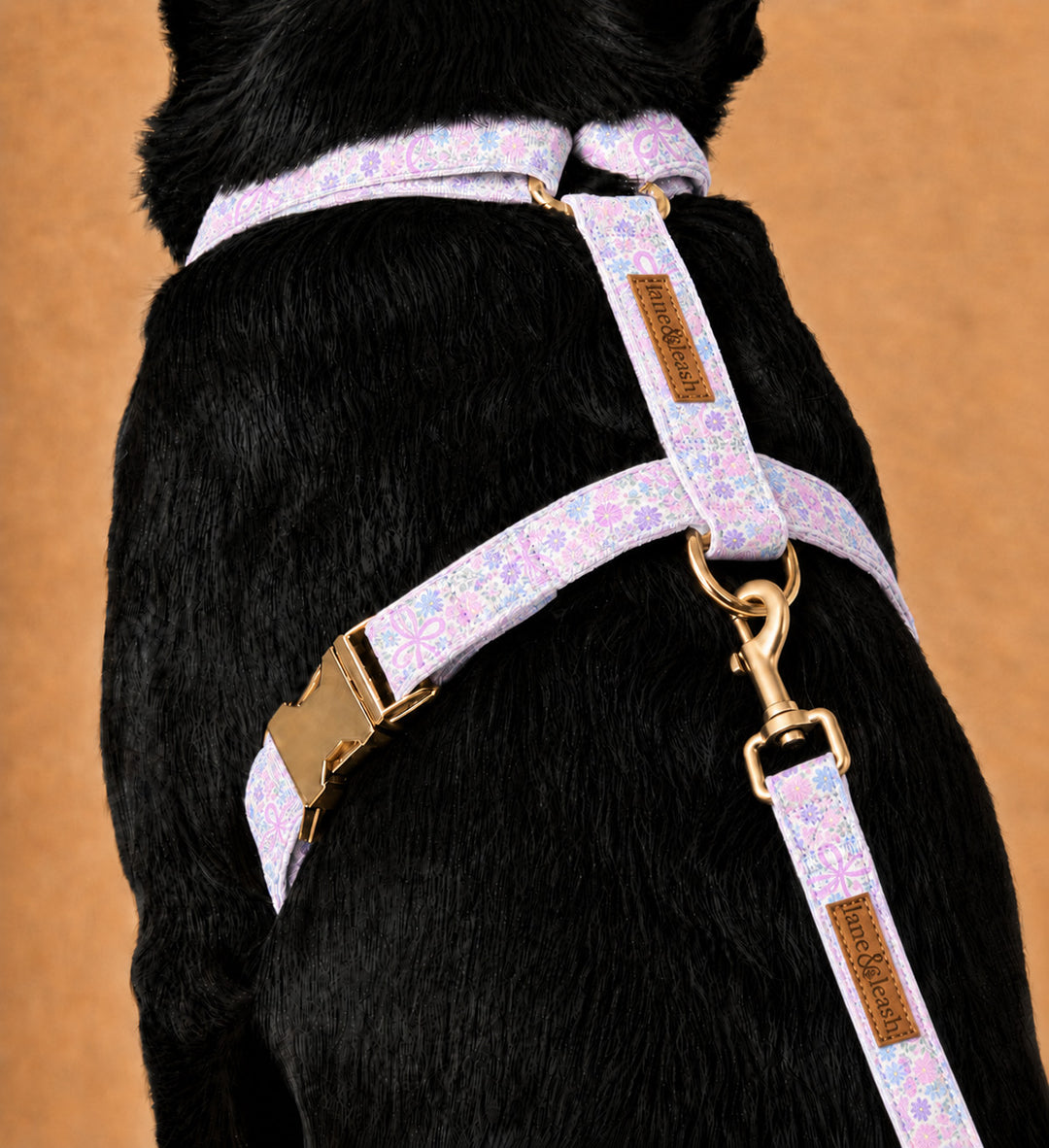 Back view of a dark dog wearing the Ribbon Garden strap harness, showing the H-shape across the back with gold hardware, on a warm tan studio background