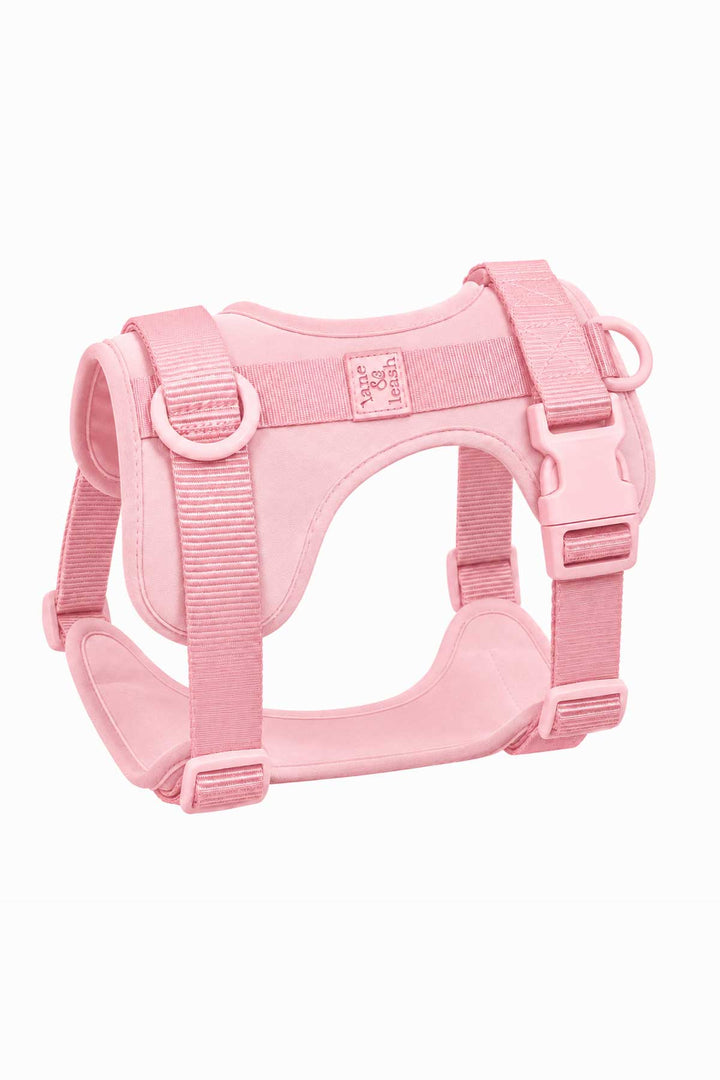 Padded dog harness in rosé pink, showing structured design with adjustable buckle straps, D-rings, and padded chest panel on white background