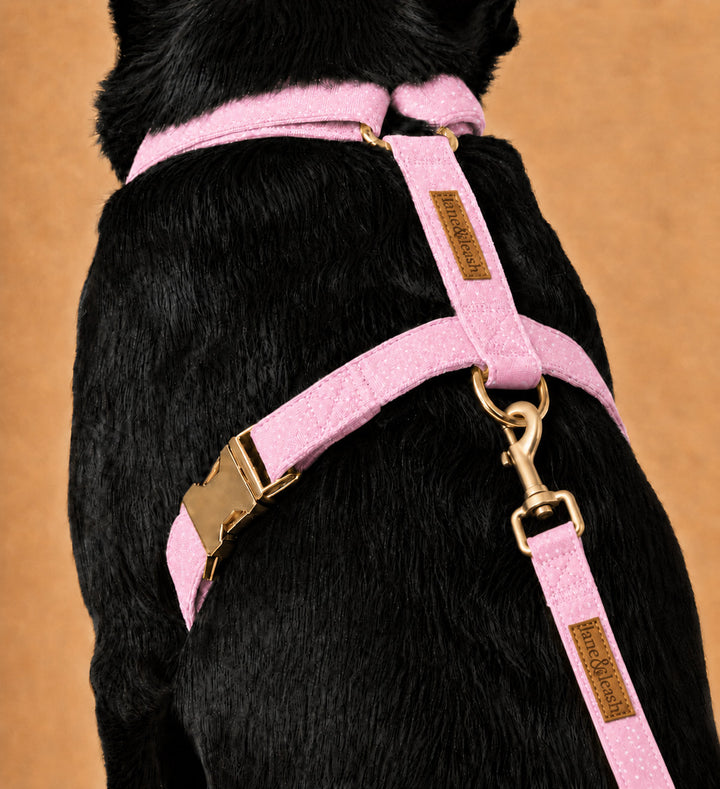 Back view of a black dog wearing the Sweet Pea Spots pink polka dot strap harness with gold buckle and D-ring, shown with a matching leash attached