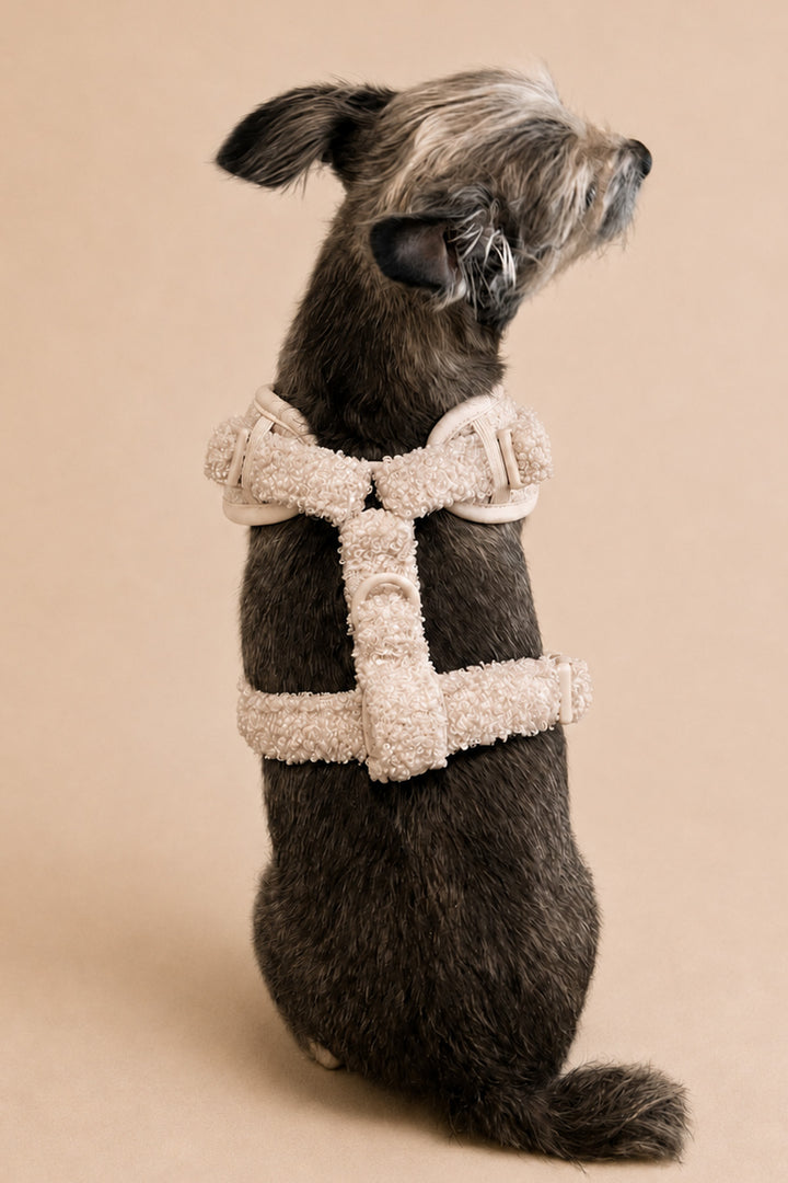 A small dark gray dog wearing a Lane & Leash cream-colored plush harness, photographed against a solid beige studio background.