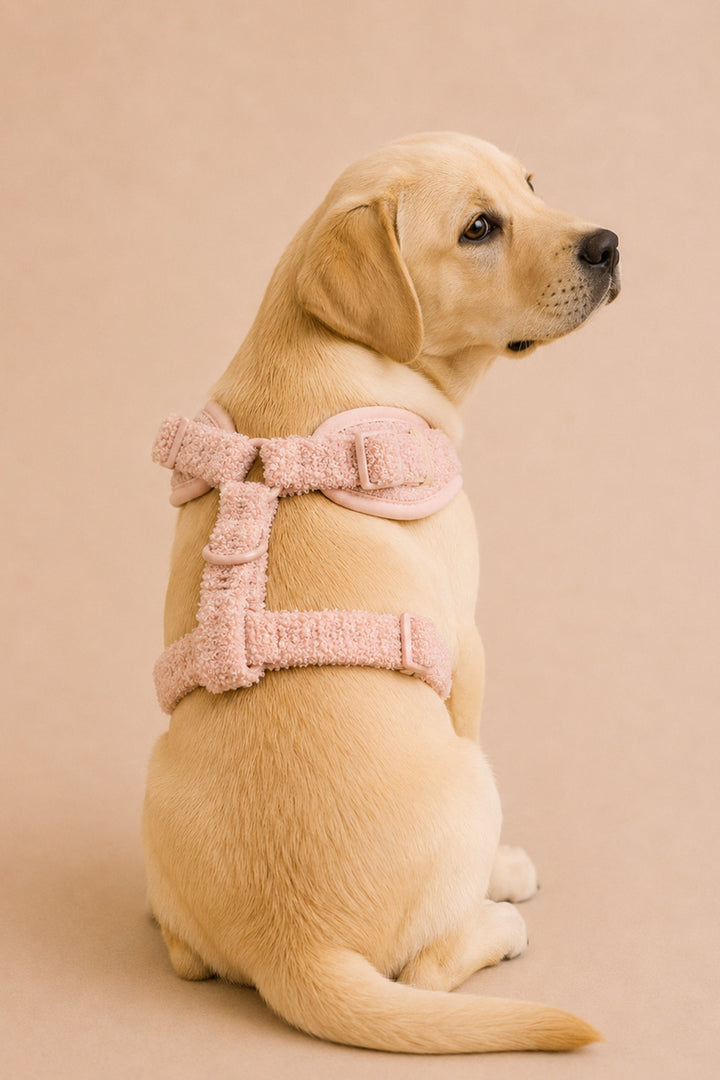 A Lane & Leash light cream-colored Labrador Retriever wearing a pink plush harness, sitting against a solid beige background.